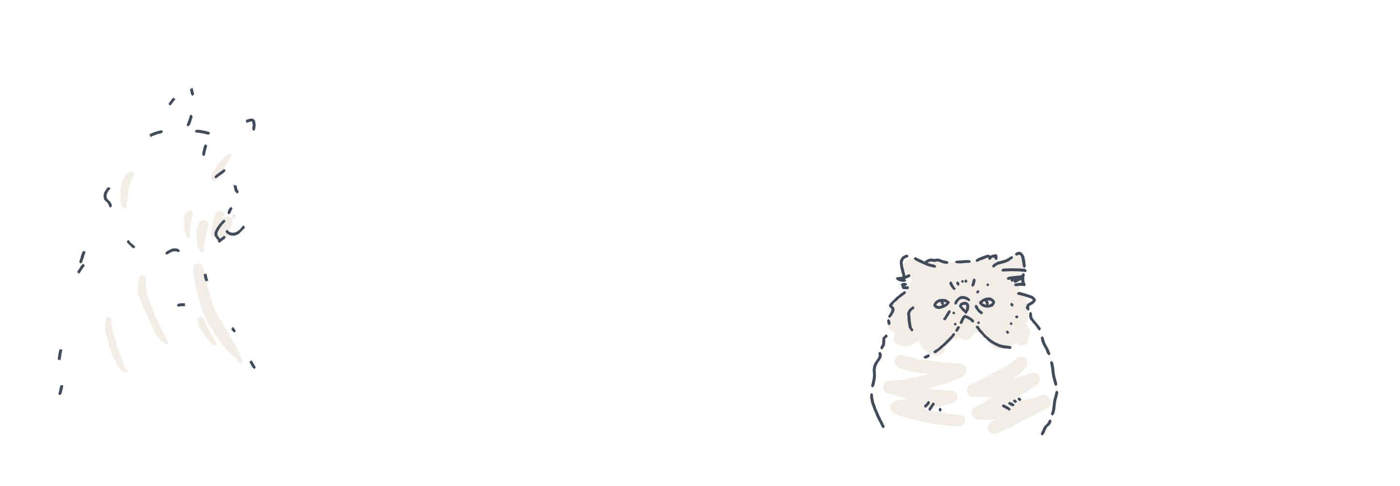 pets animations