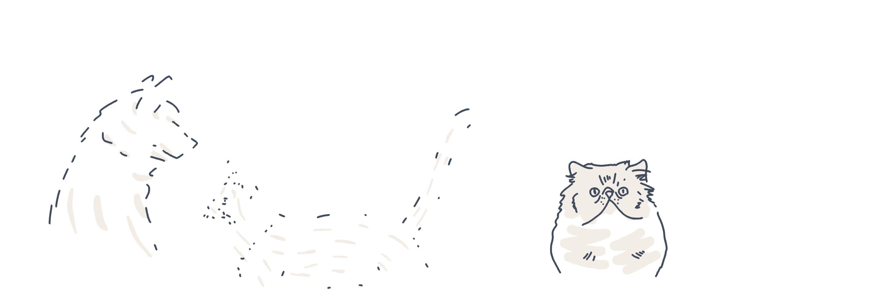 pets animations