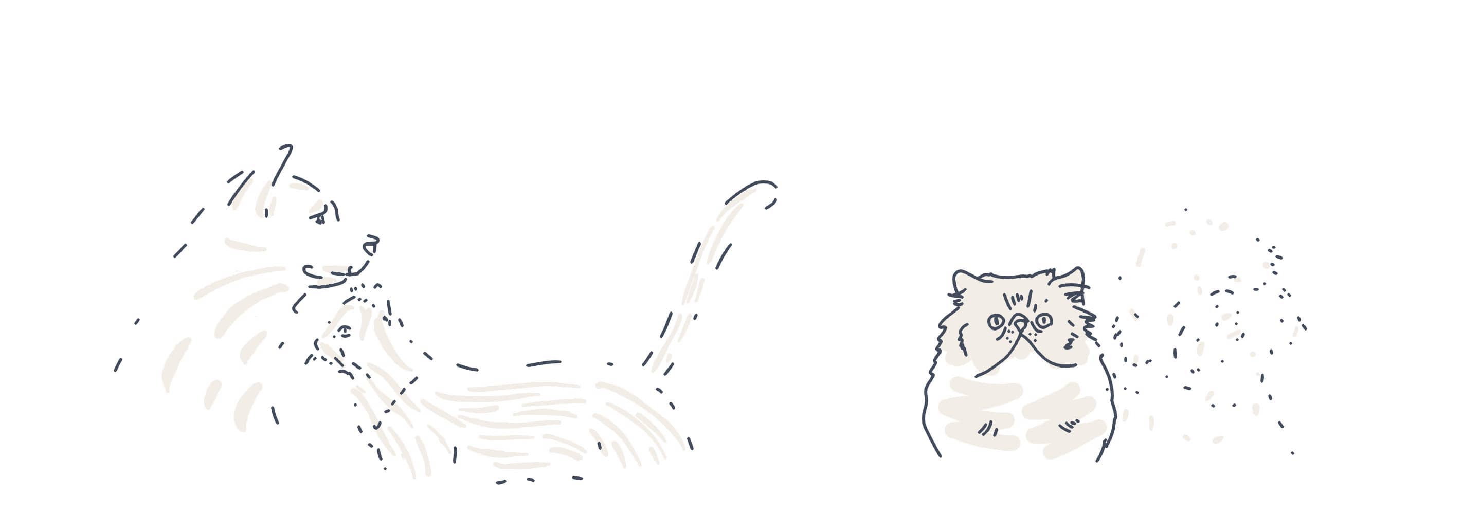 pets animations