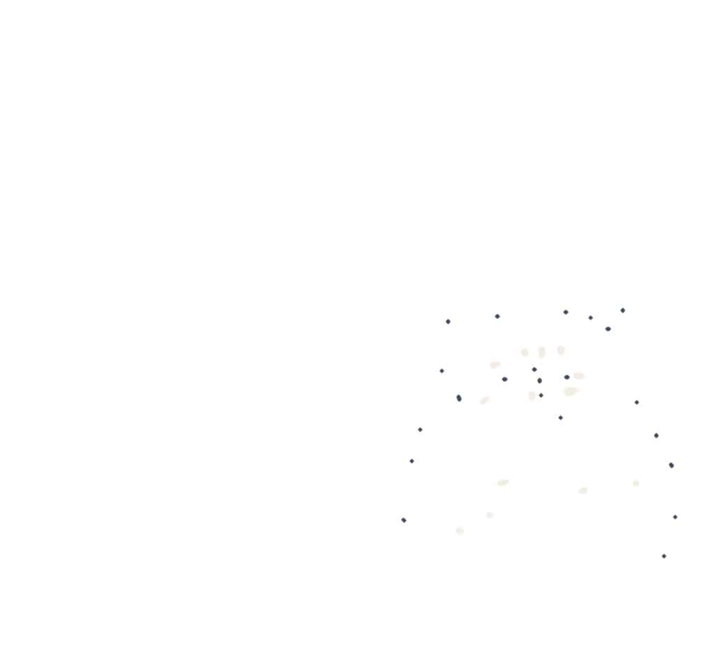 pets animations