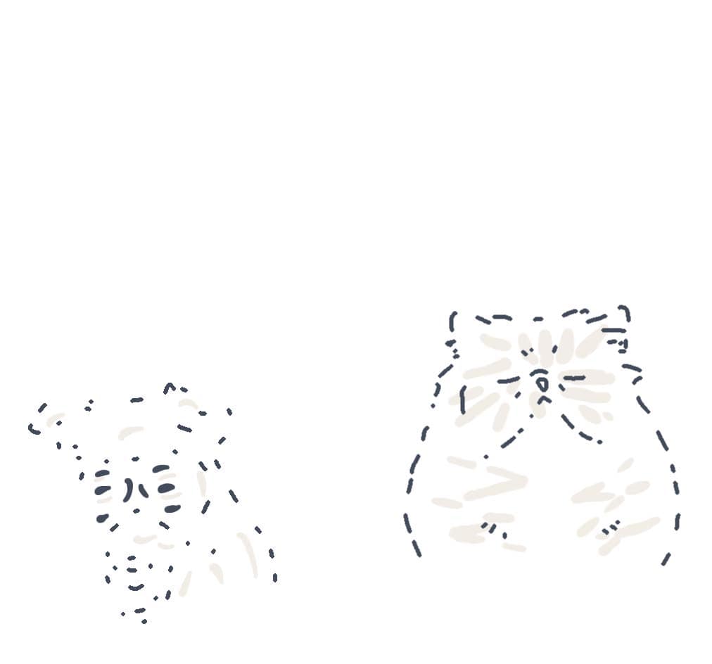 pets animations