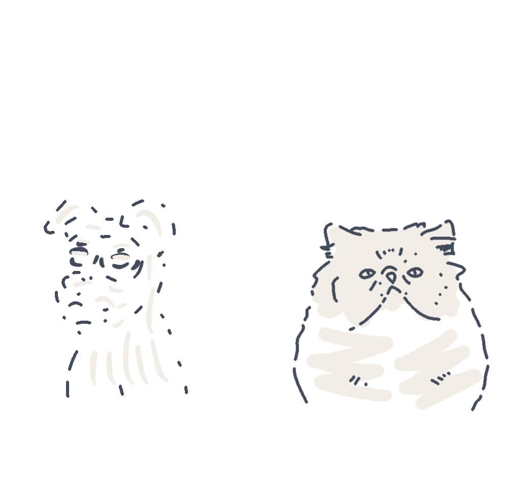 pets animations
