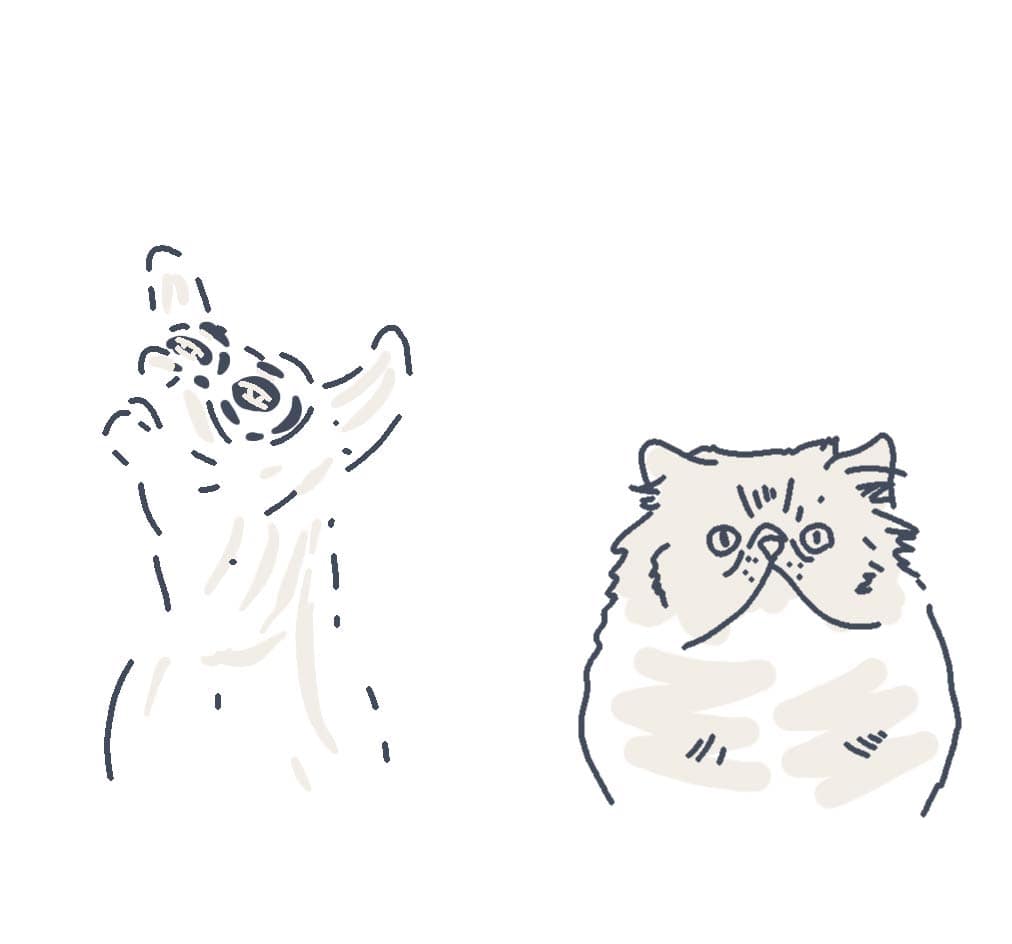 pets animations