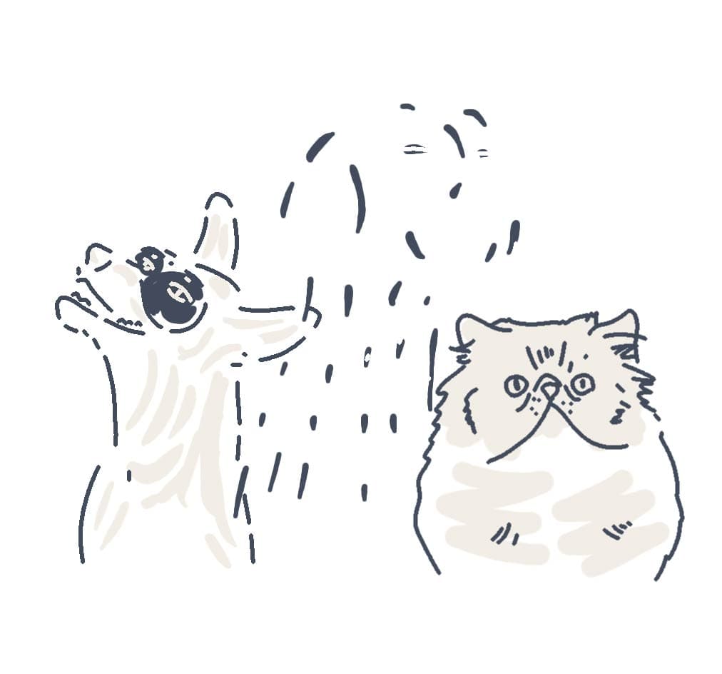 pets animations