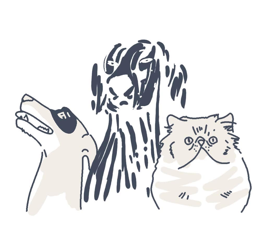 pets animations