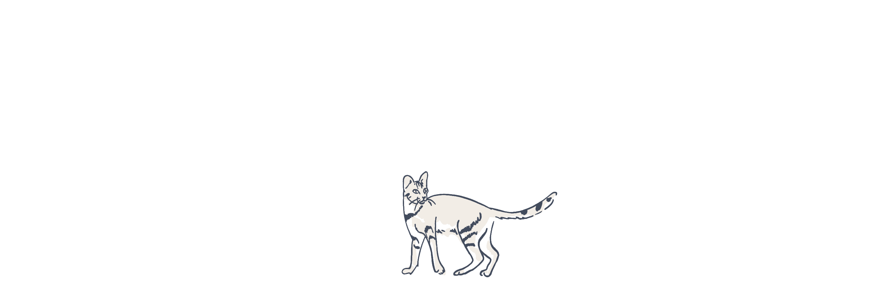 Cat illustration loop