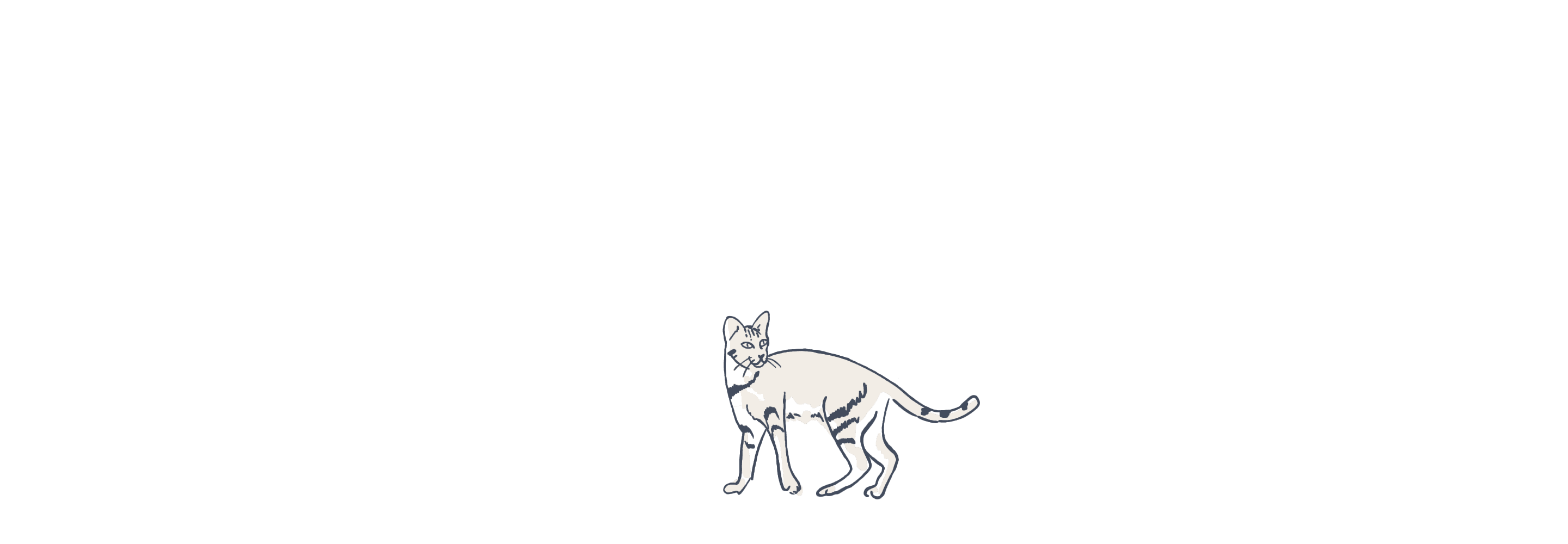 Cat illustration loop
