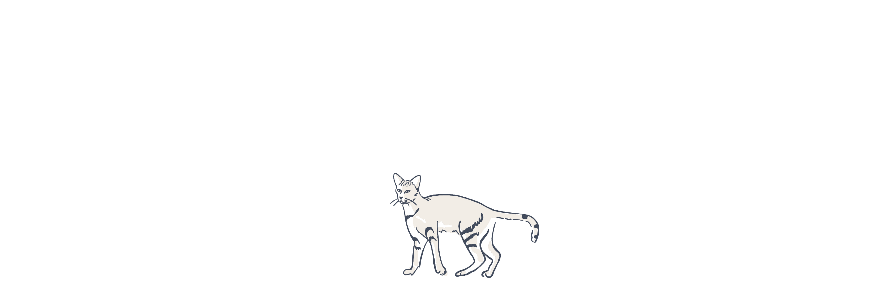 Cat illustration loop