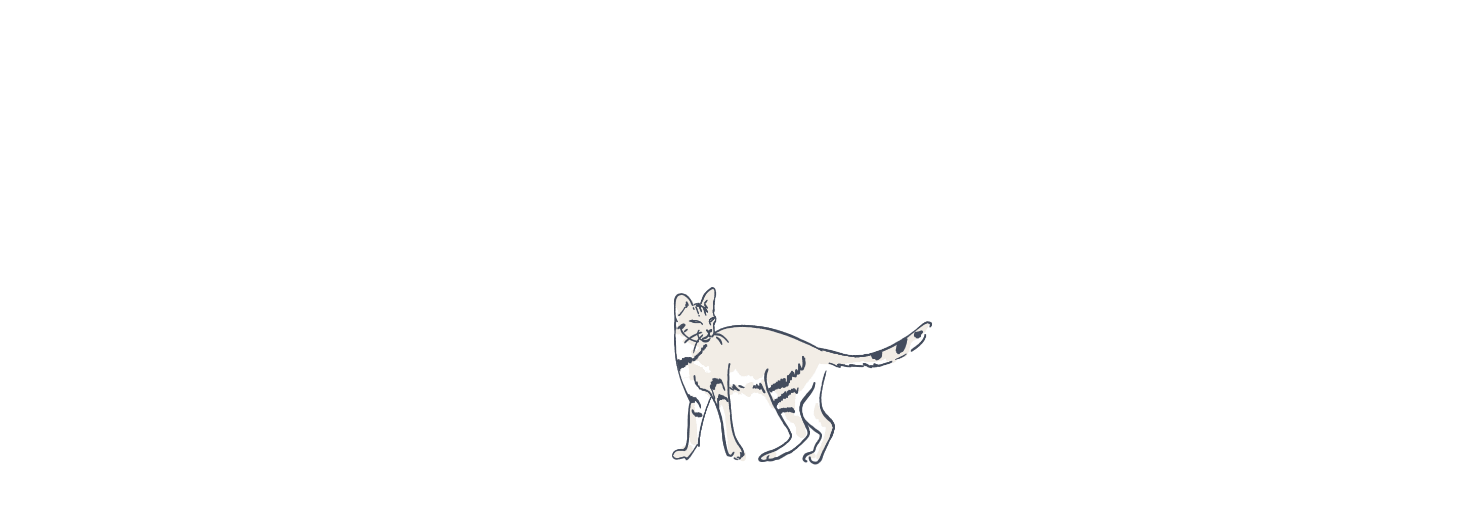 Cat illustration loop