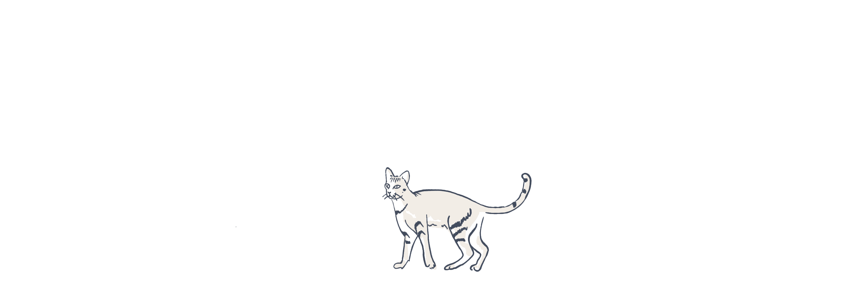 Cat illustration loop