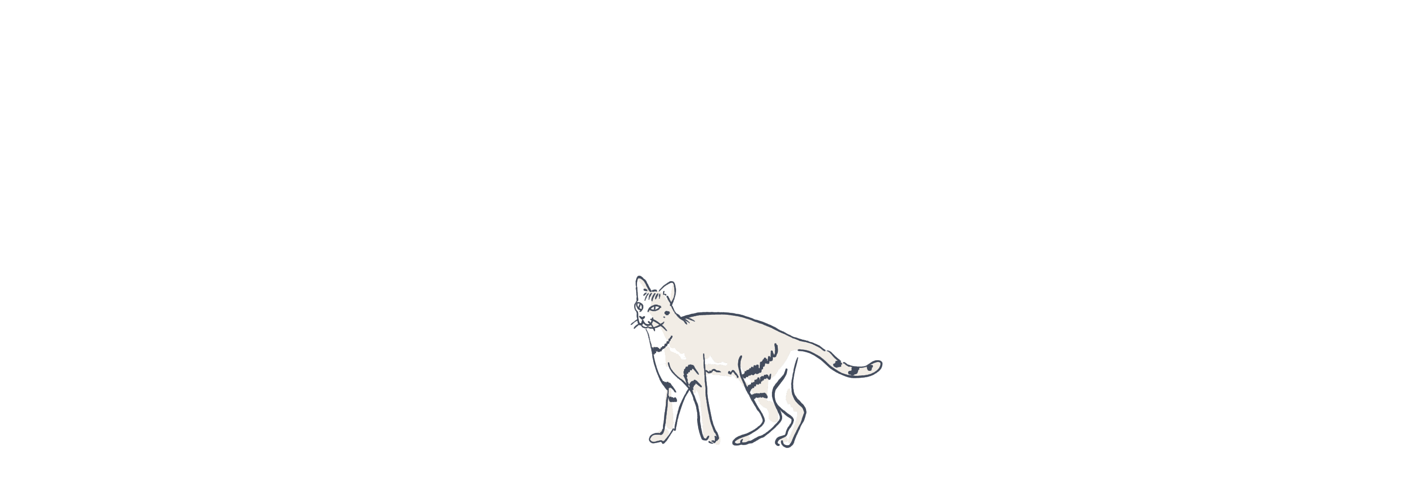 Cat illustration loop