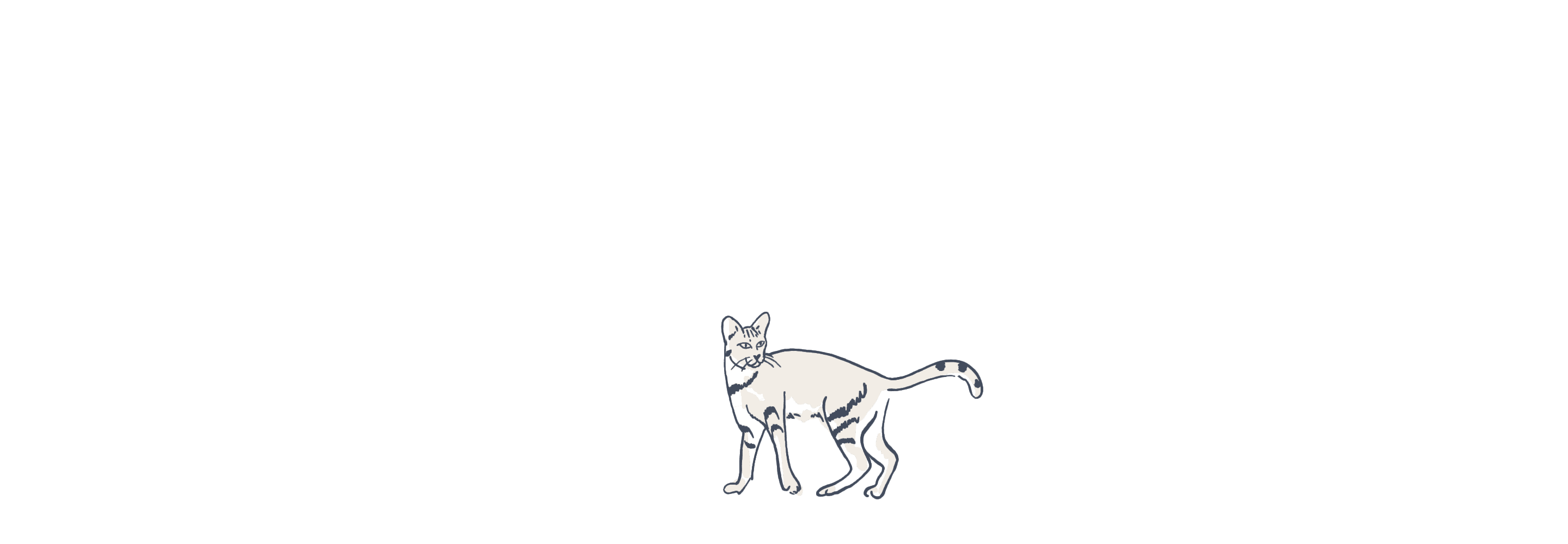 Cat illustration loop