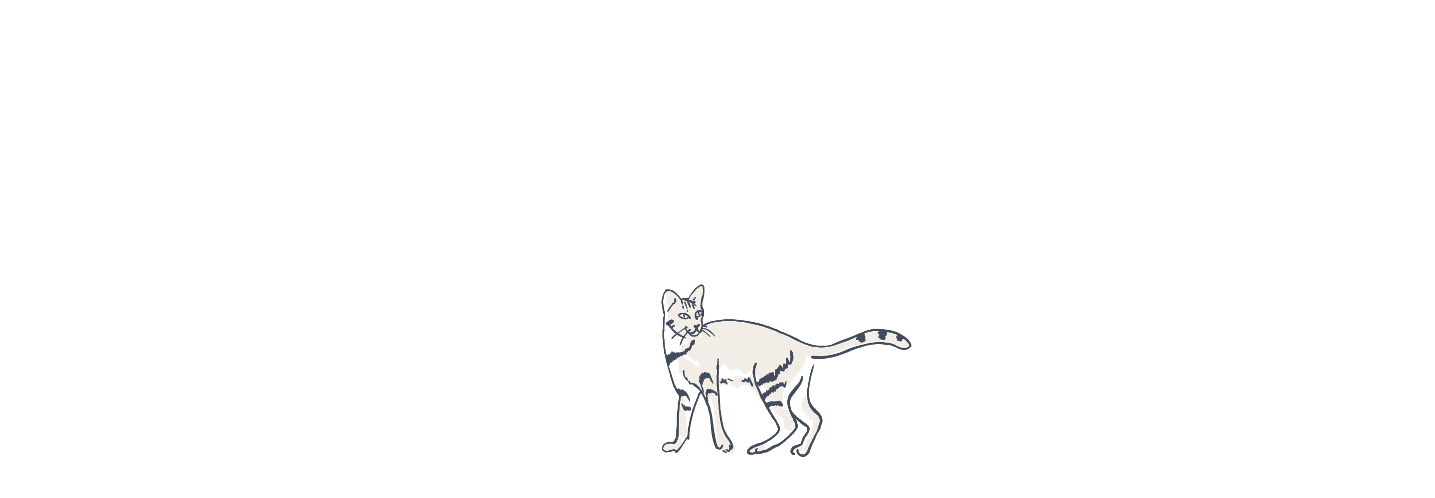 Cat illustration loop