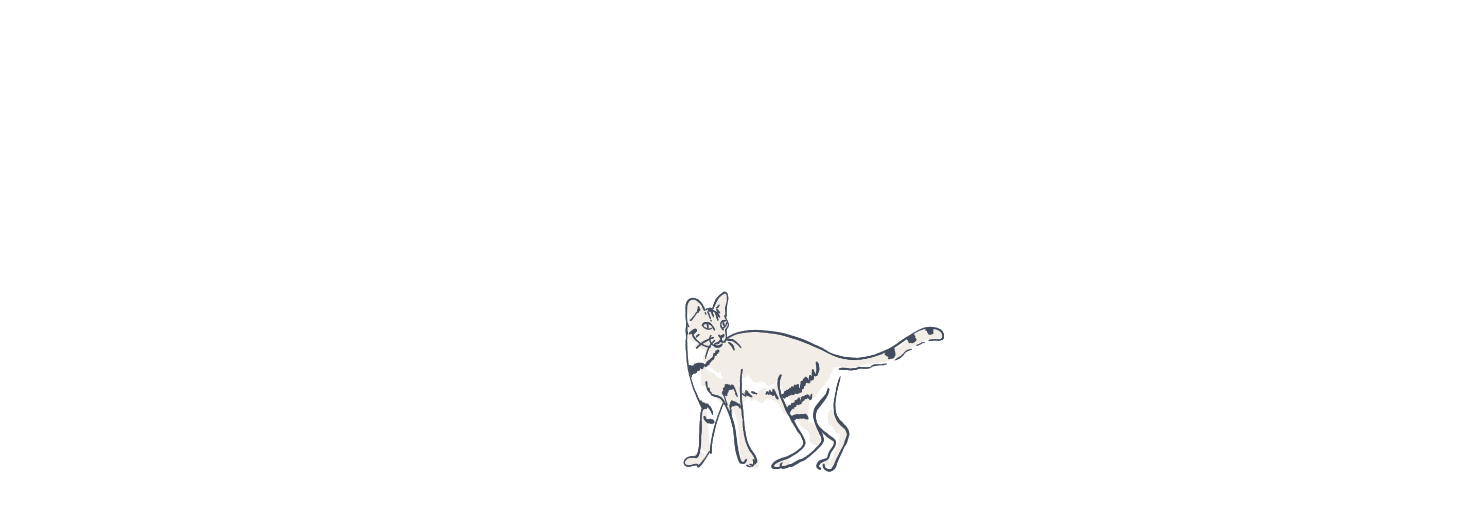 Cat illustration loop