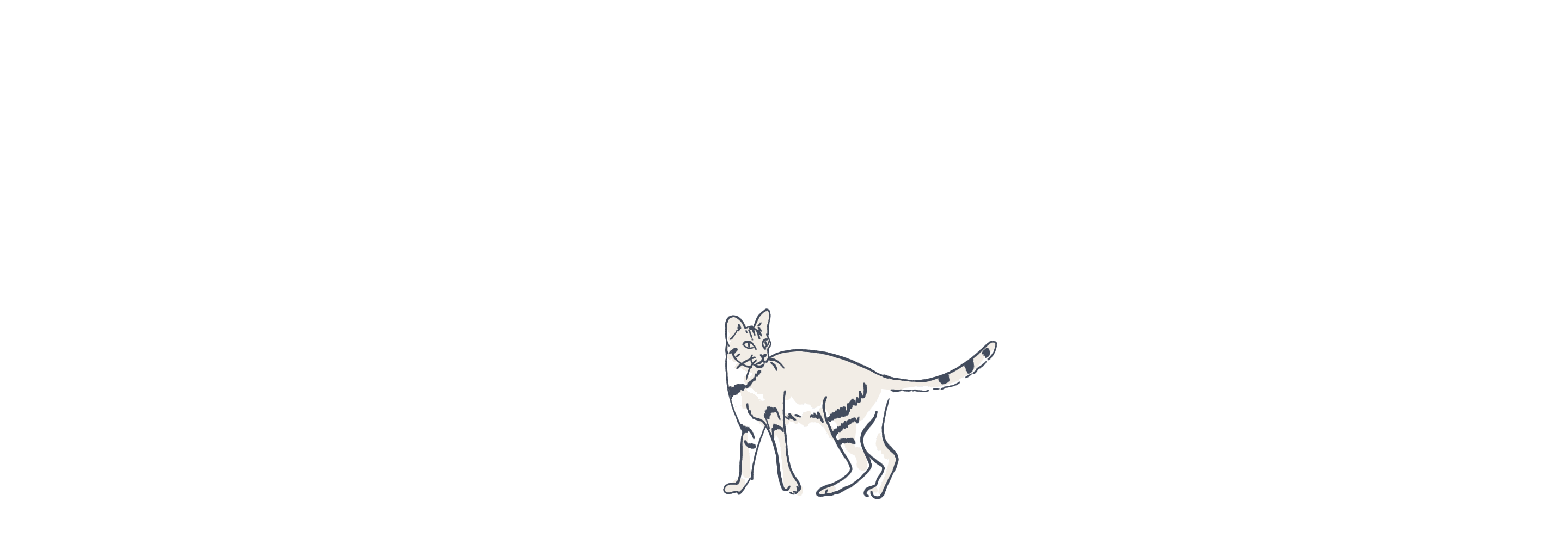 Cat illustration loop