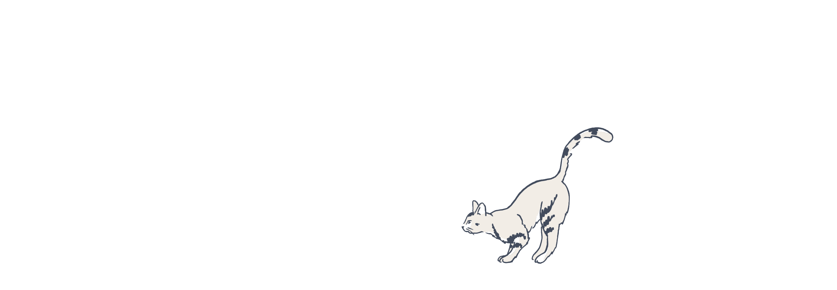 Cat illustration animated
