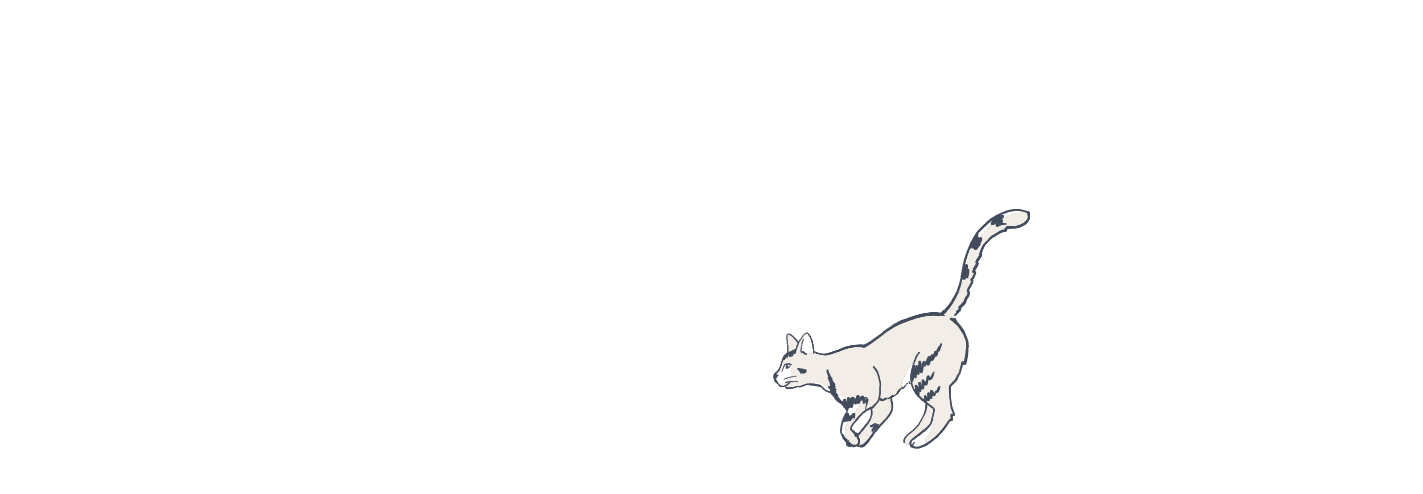 Cat illustration animated