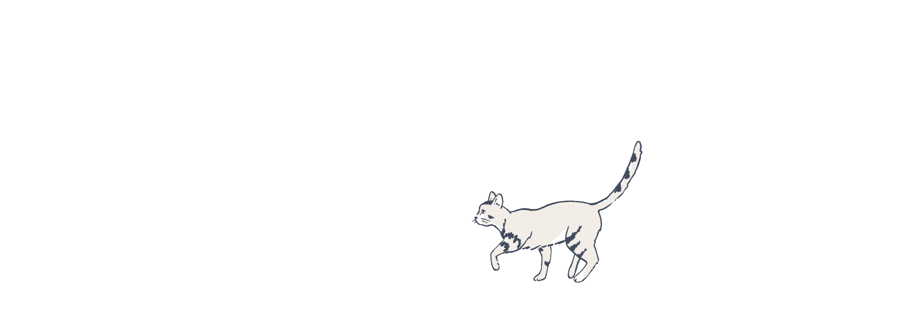 Cat illustration animated