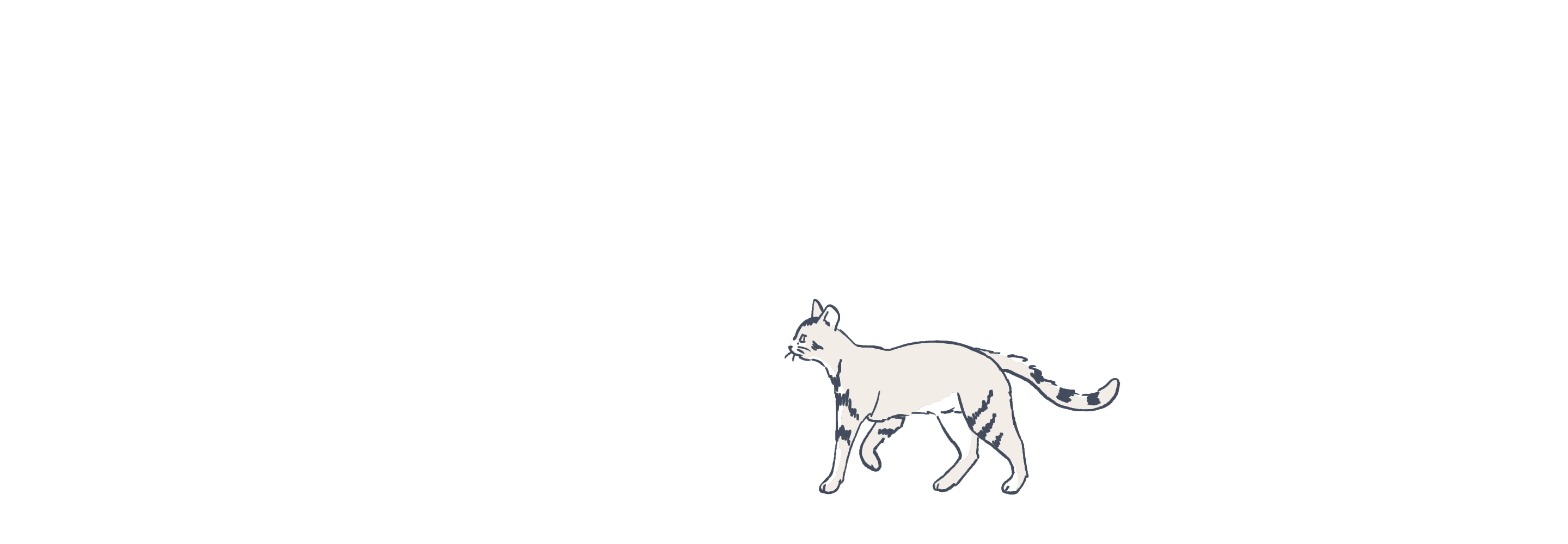Cat illustration animated