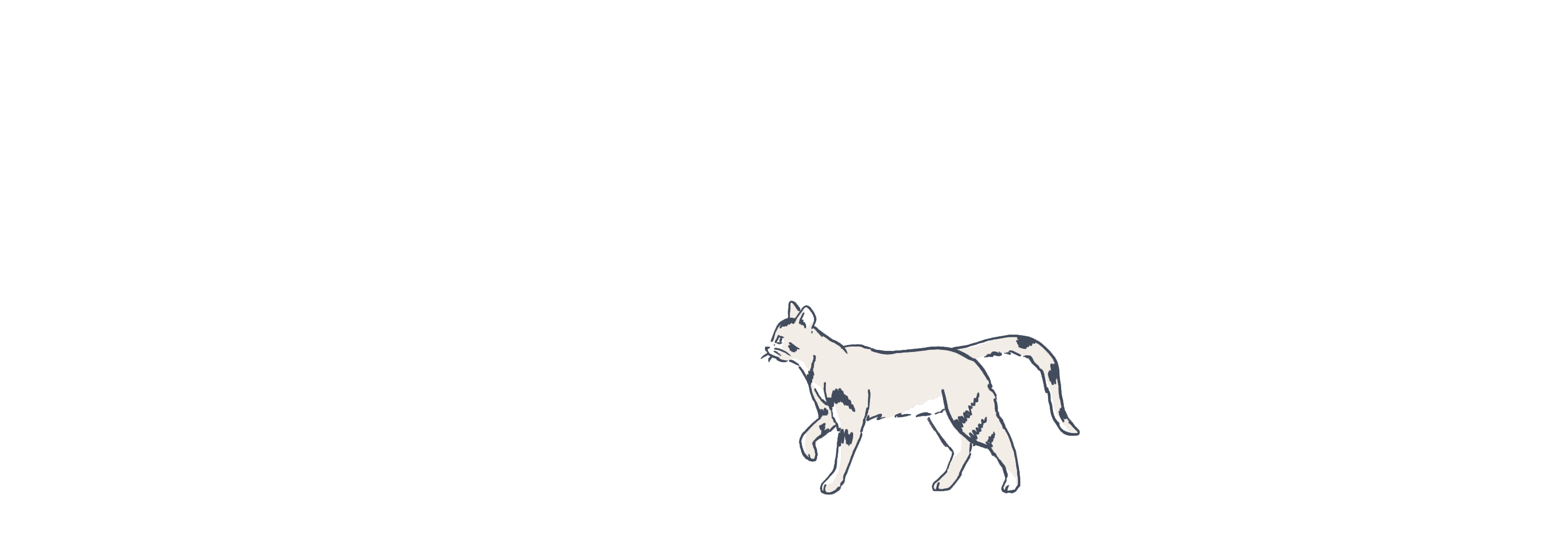 Cat illustration animated