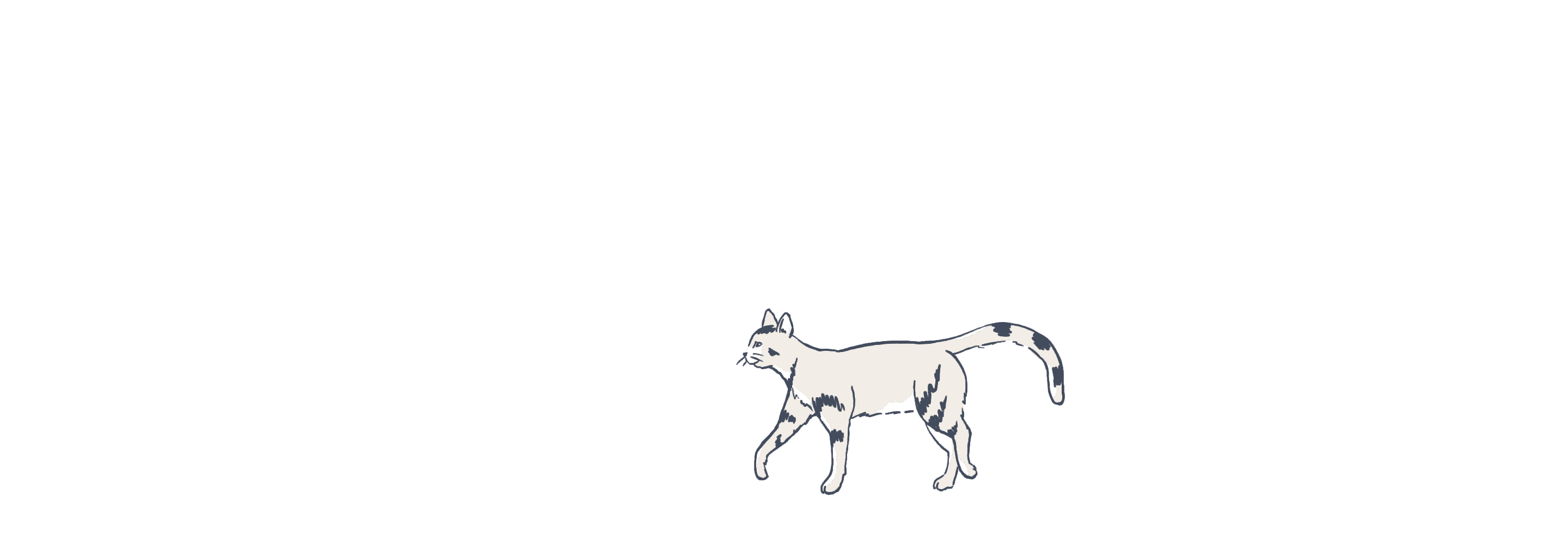 Cat illustration animated