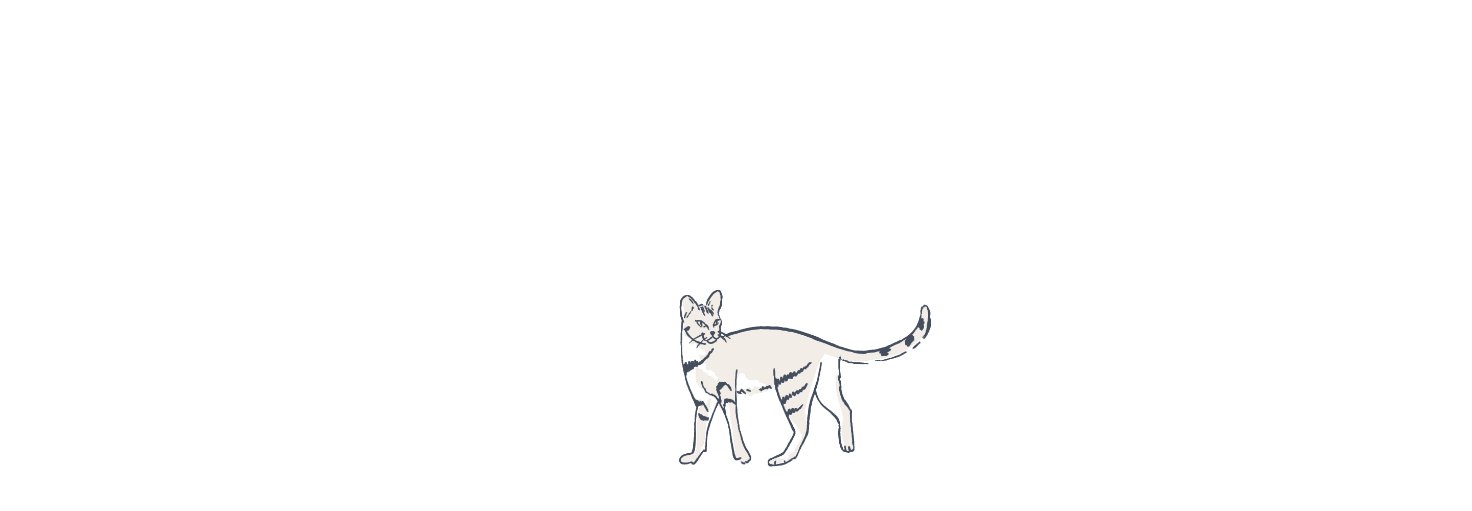 Cat illustration animated