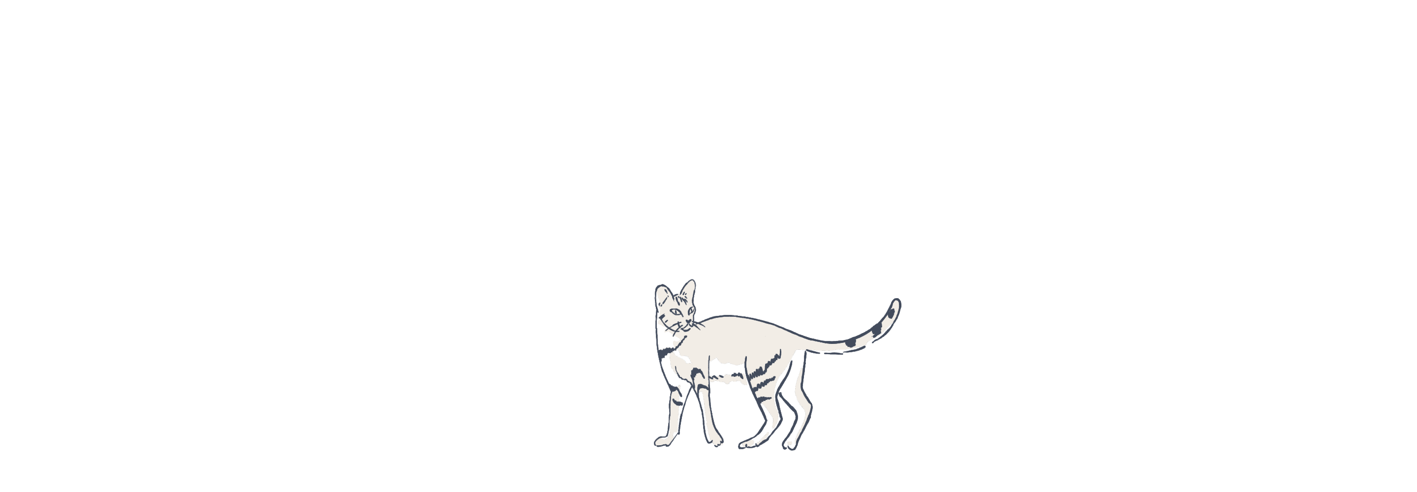 Cat illustration animated