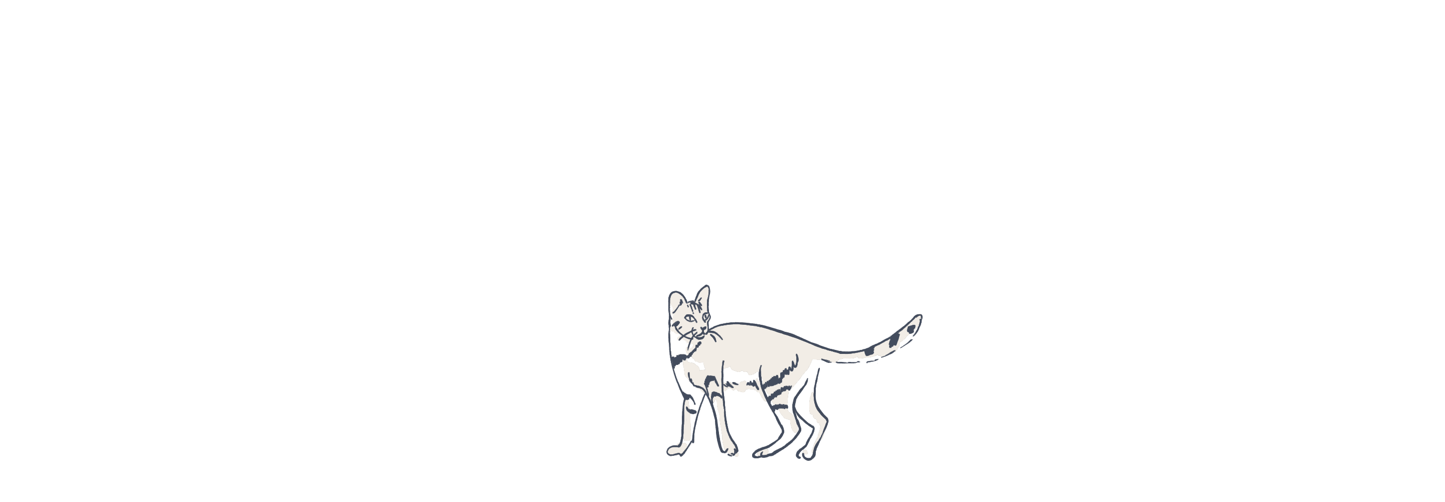 Cat illustration animated