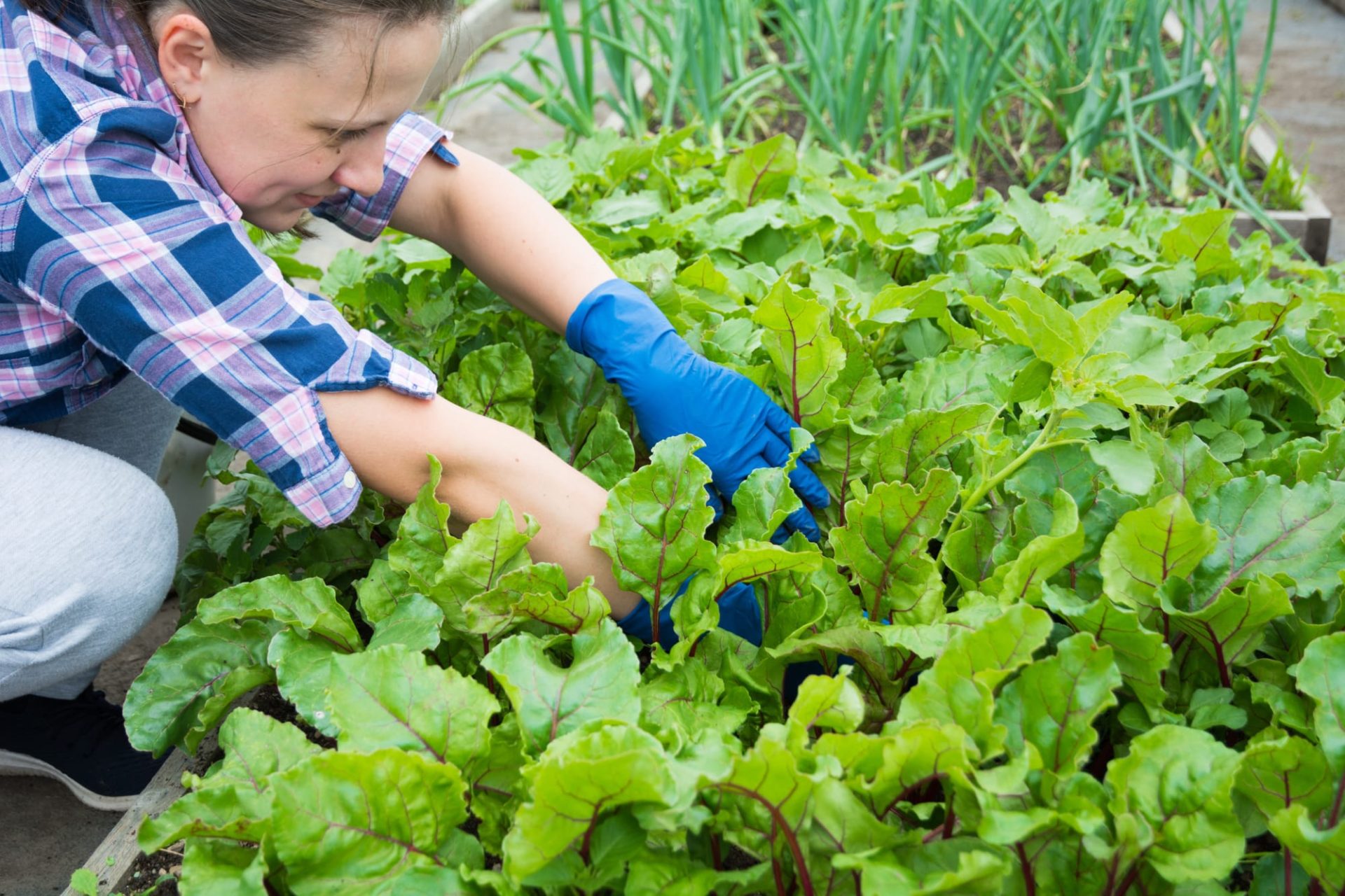 A woman smiles as she weeds her garden.